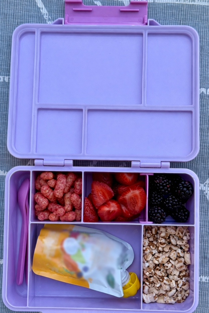 dobibox lila